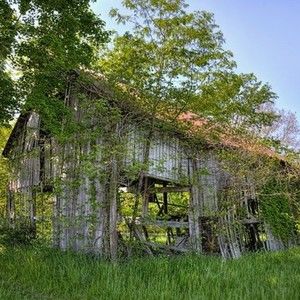 Meet your Posher, Maribel